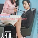 A Business Proposal (2022) (Korean Drama)