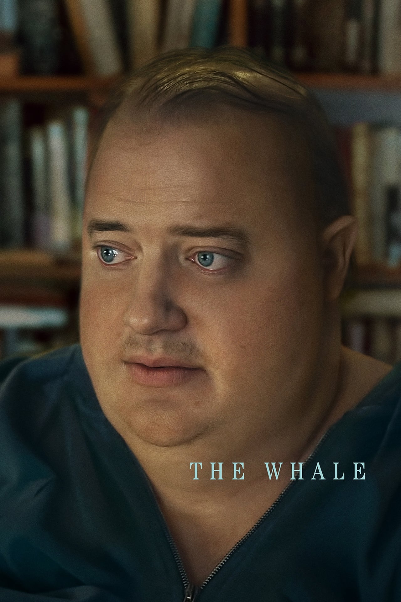 DOWNLOAD The Whale (2022) [Hollywood Movie]