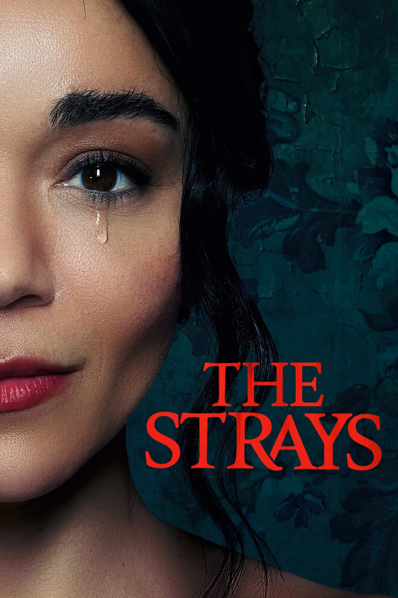 The Strays (2023) Full Movie Download