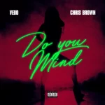 Chris Brown X Vedo - Do You Mind