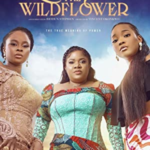 The Wildflower (2022) Full Movie Download