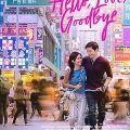 Hello, Love, Goodbye (2019) Full Movie