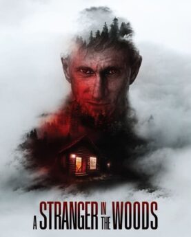 A Stranger in the Woods 2024 Movie Poster