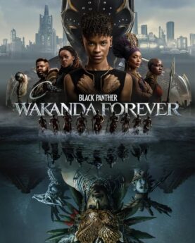 Black Panther: Wakanda Forever 2022 Movie Poster