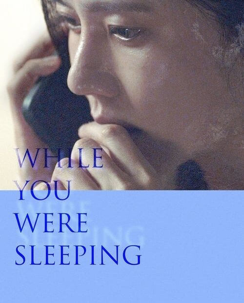 While You Were Sleeping 2024 Movie Poster